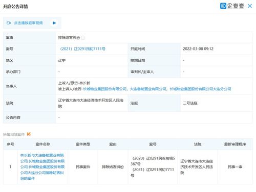 大連魯能置業(yè)新增開庭公告 案由為排除妨害糾紛引發(fā)關注
